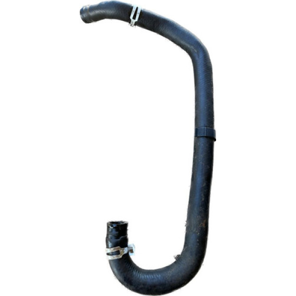 Mangueira Reservatório Hidráulico Focus 1.6 Zetec